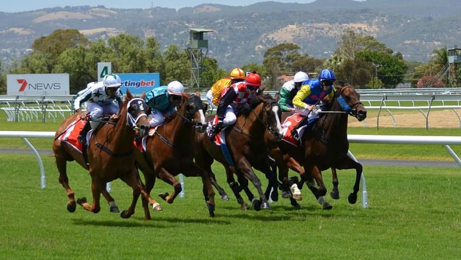 What are the Different Types of Horse Racing Events?