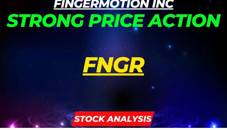 FNGR Stock’s Performance Over The Past 1, 3 And 12-Month Periods