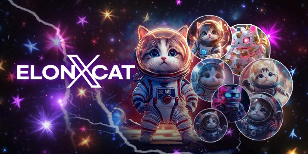 Join Elonxcat Korea: Revolutionizing Meme Tokens with X Technology elonxcat