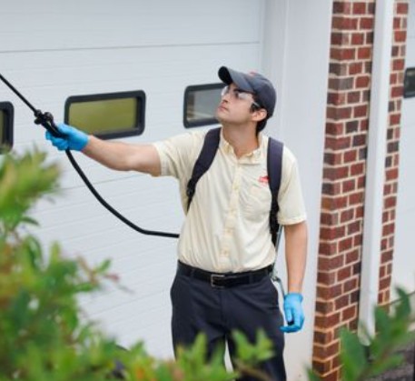 Pest Control: A Complete Guide to Protecting Your Home and Business Pest